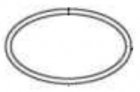 Уплотнительное кольцо O-ring Pedrollo 11514201476